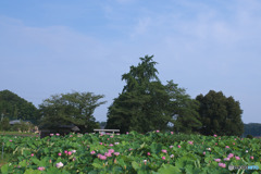 小山田神社