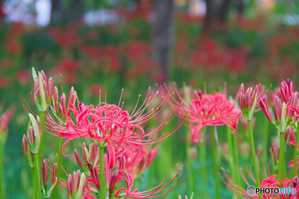 大木島自然公園