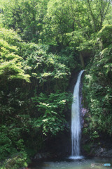 秩父華厳の滝