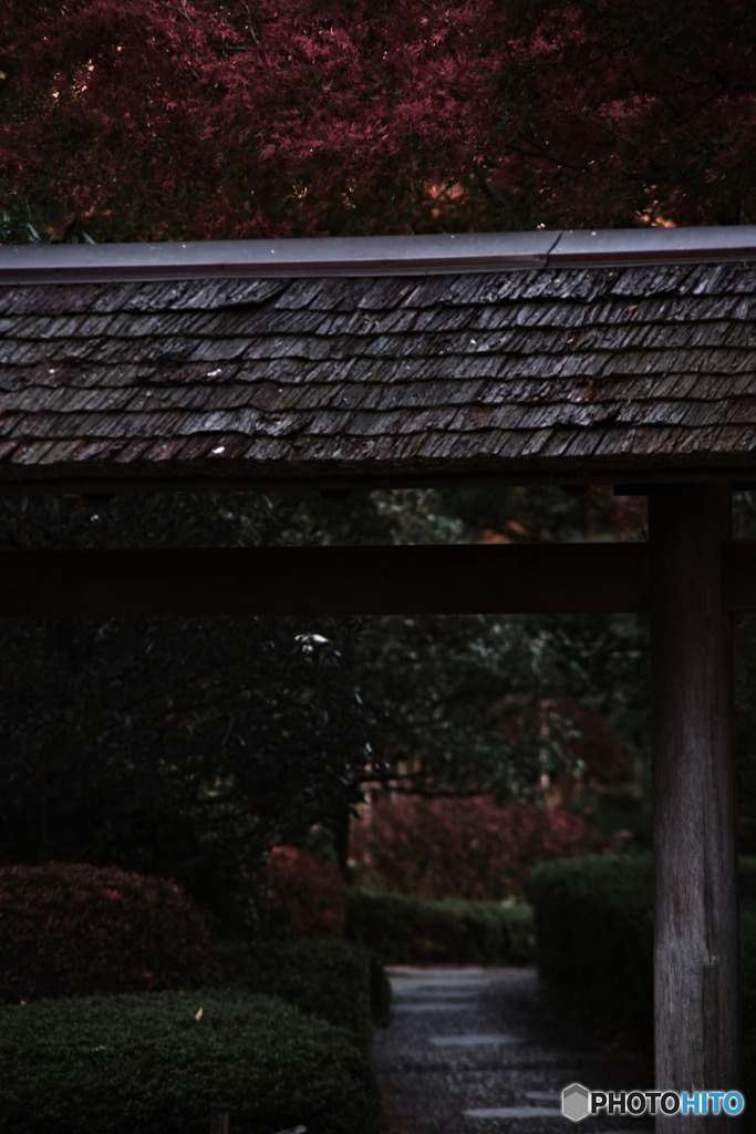 府中の森公園