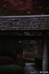 府中の森公園