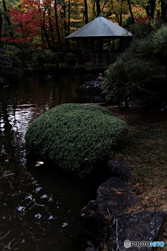 航空公園、日本庭園