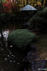 航空公園、日本庭園