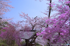 桂木観音
