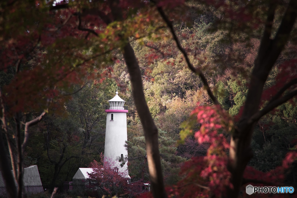 森の中の灯台