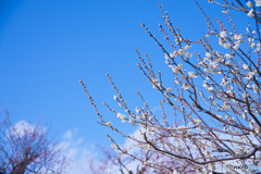 青空