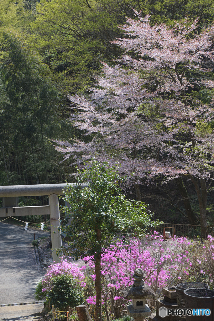 今熊神社