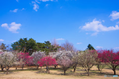 青空