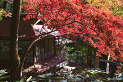 東郷公園
