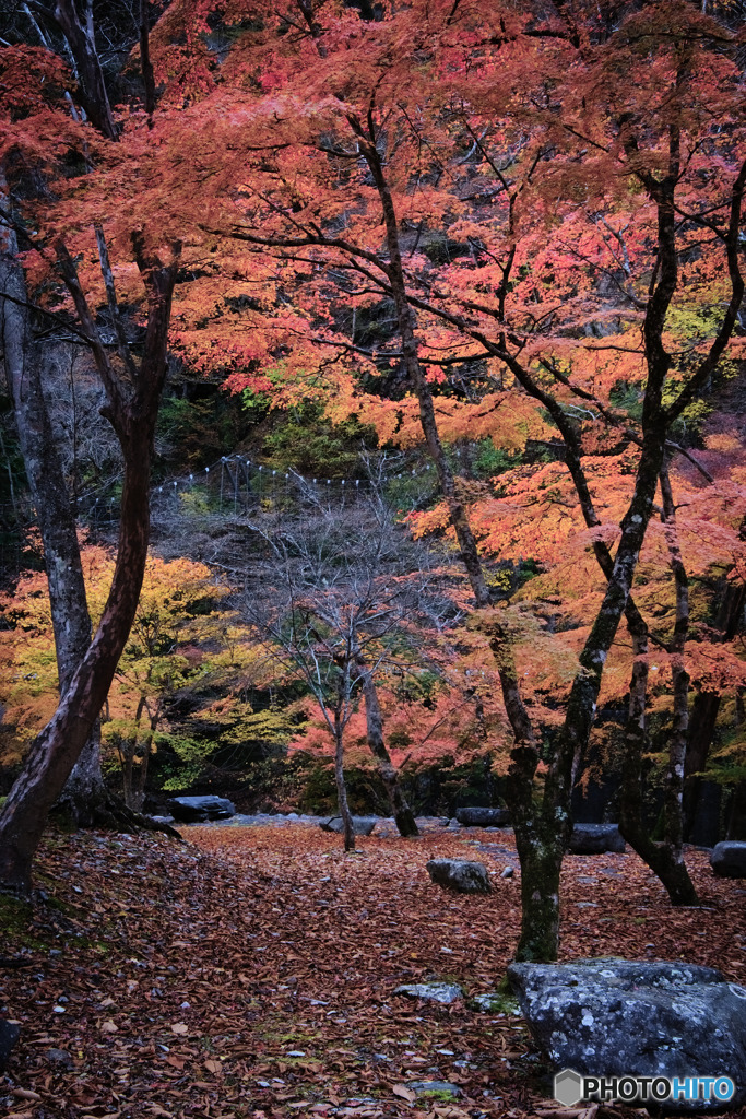 貯水池上流端広場