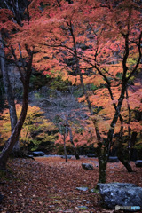 貯水池上流端広場