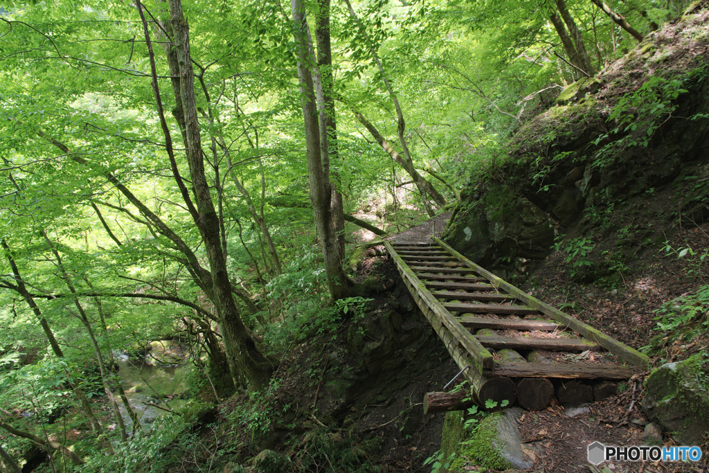 百尋ノ滝への登山道