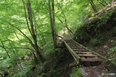 百尋ノ滝への登山道