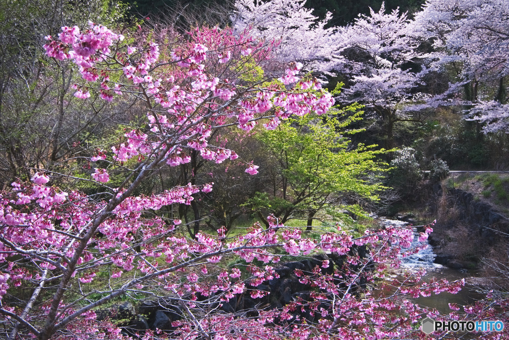 宿谷公会堂周辺