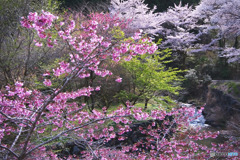 宿谷公会堂周辺