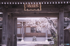 川越市、長福寺