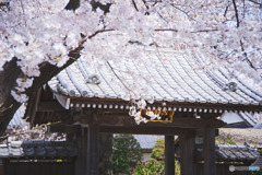 川越市、長福寺