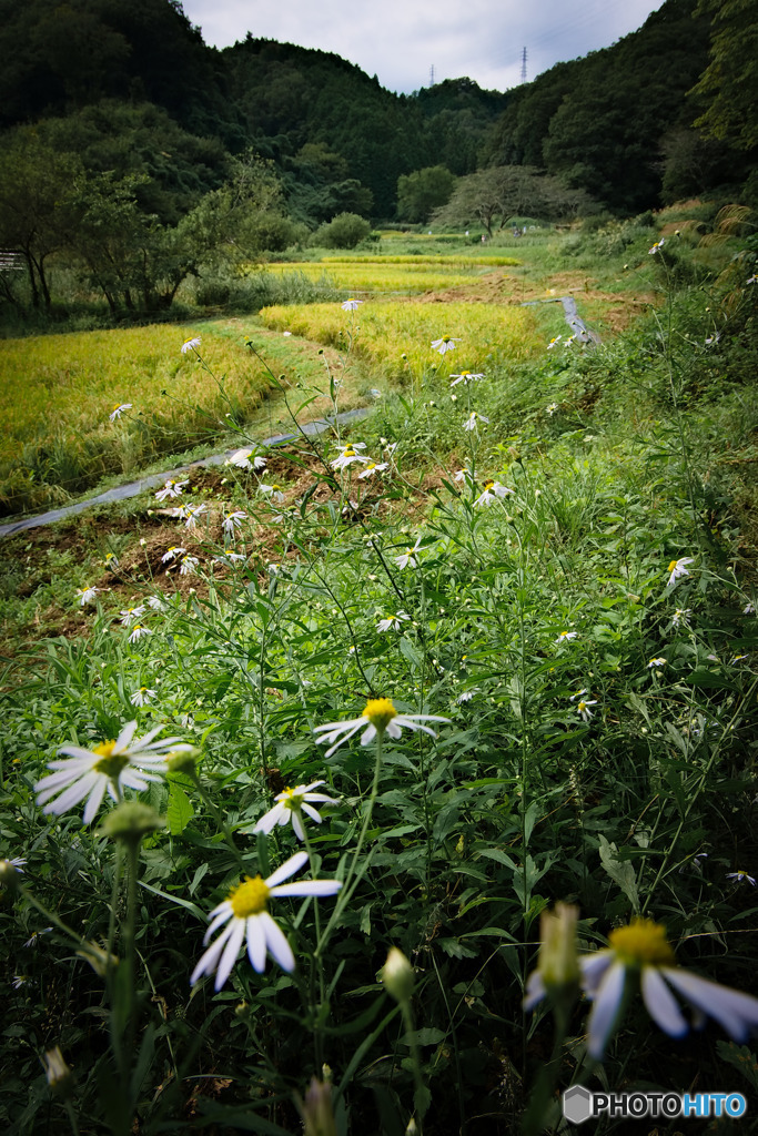 里山探訪