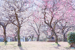 府中の森公園