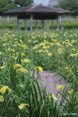 千貫樋水郷公園