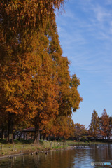 川越水上公園