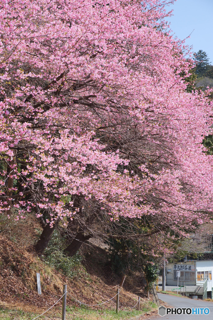 顔振峠
