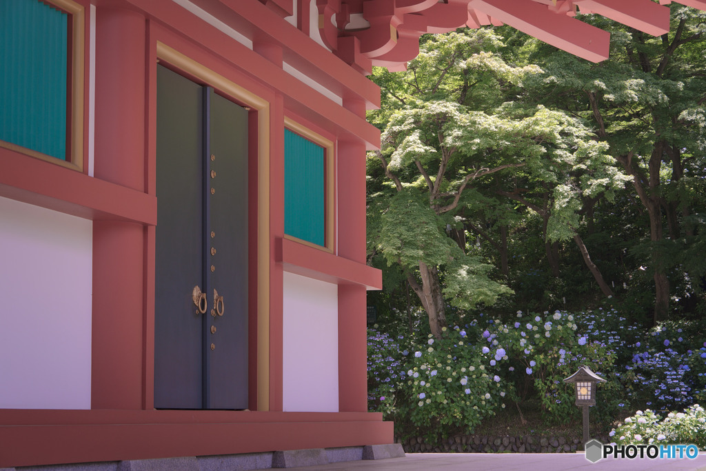 紫陽花の寺
