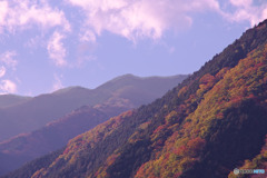 名栗湖からの紅葉と稜線