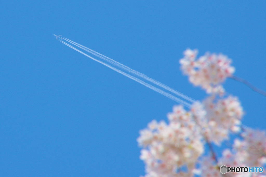 青空に映える