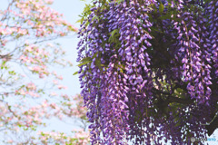 文化の杜公園