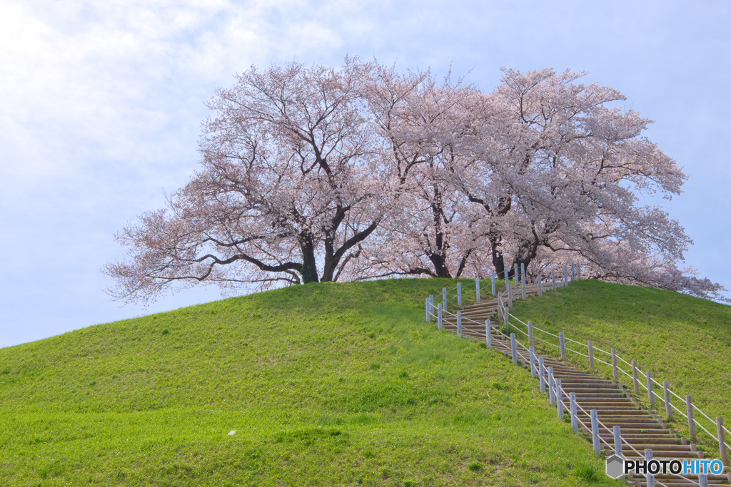 さきたま古墳公園
