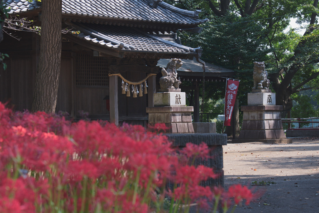 仙波氷川神社