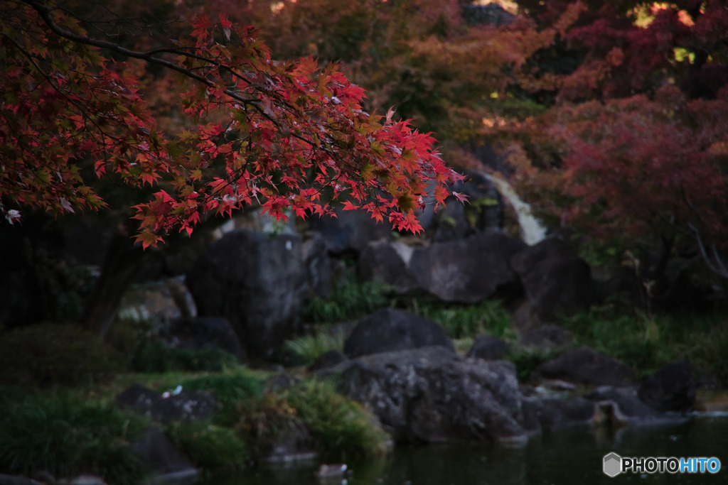 府中の森公園