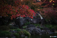 府中の森公園