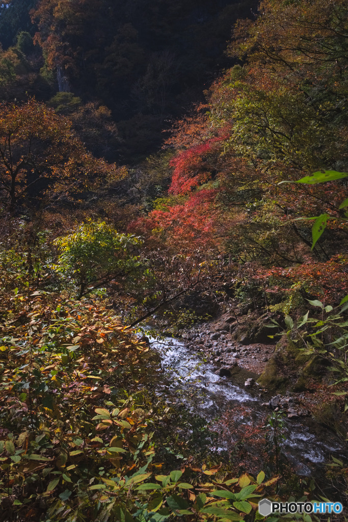 白妙橋