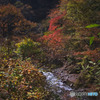 白妙橋