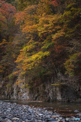 丹波山村水源公園