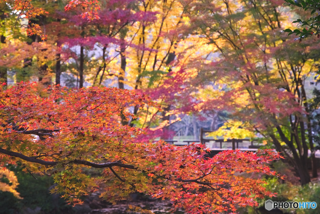 上尾丸山公園