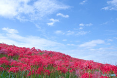 荒川左岸 大久保浄水場周辺