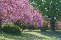 川越水上公園