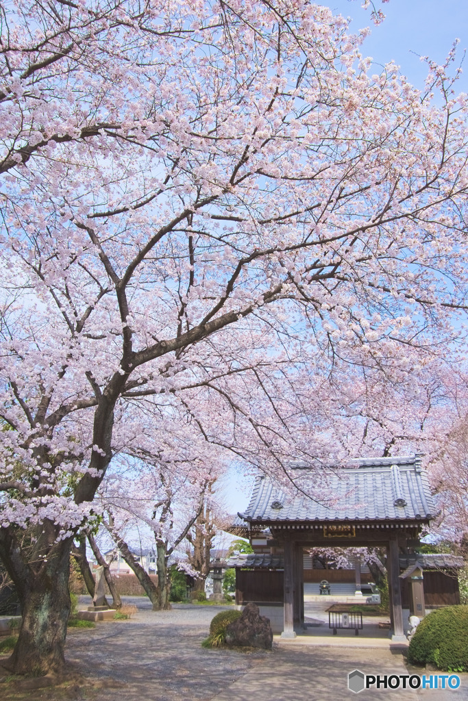 川越市、長福寺