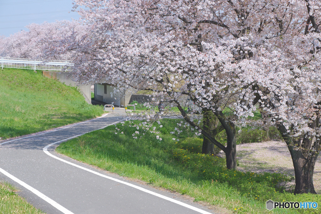 小ケ谷公園