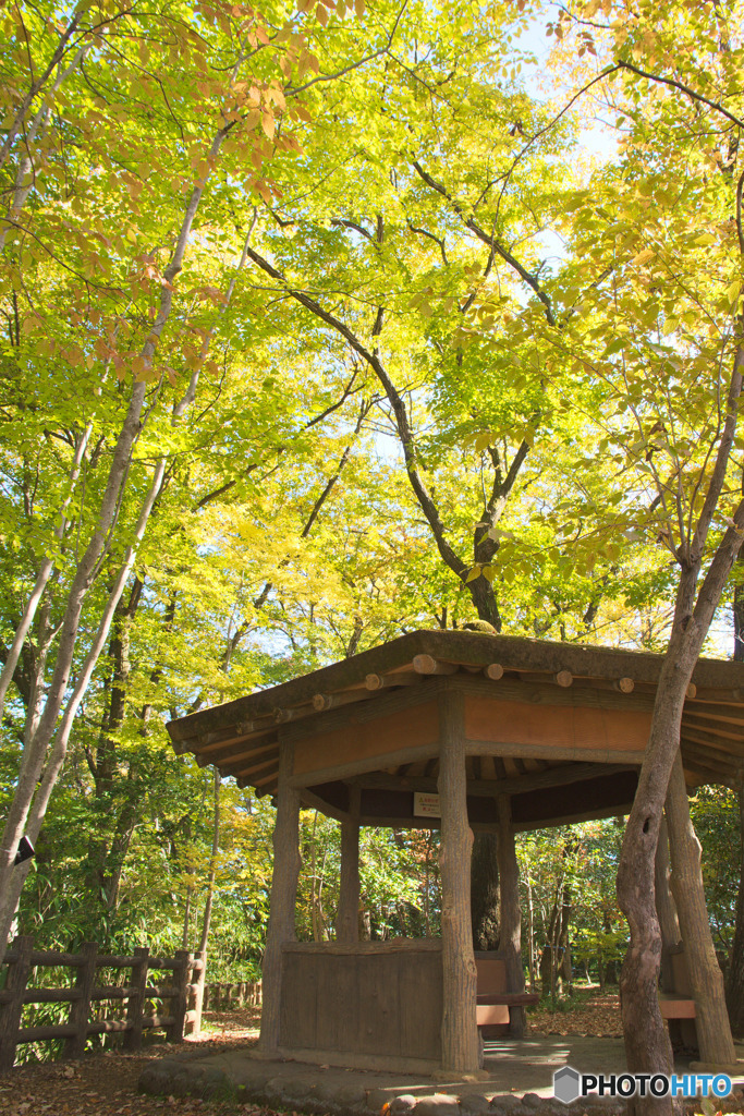 釜の淵公園