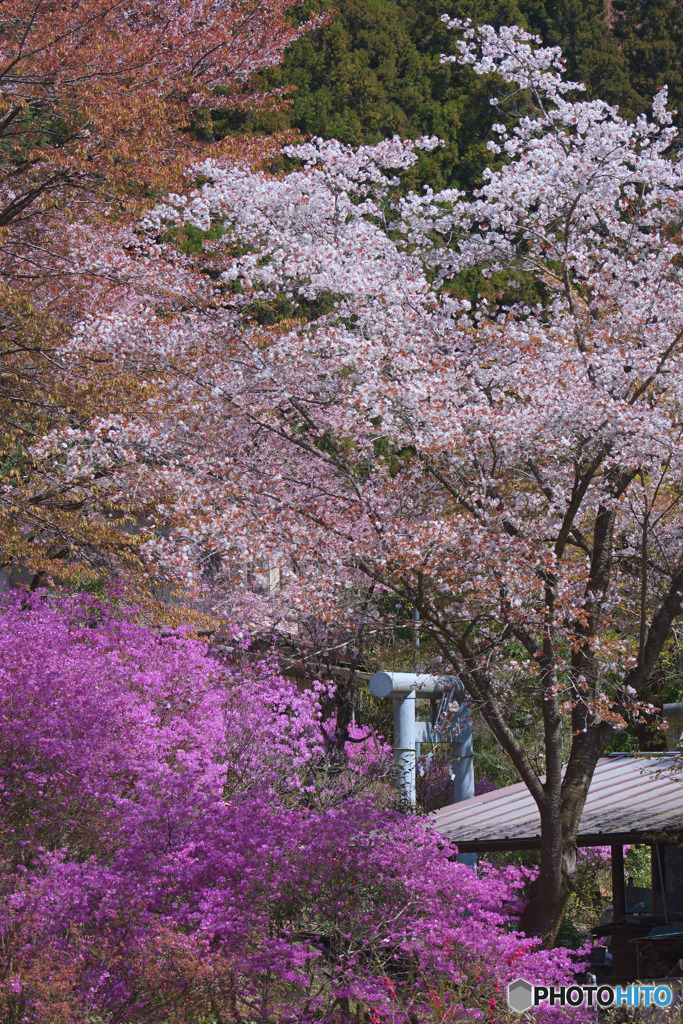 今熊神社