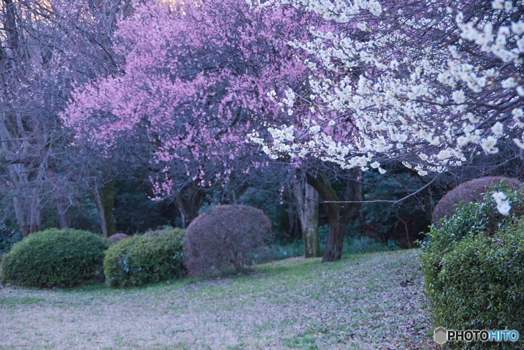 滝の城址公園