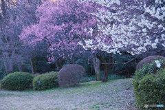 滝の城址公園