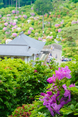 塩船観音寺