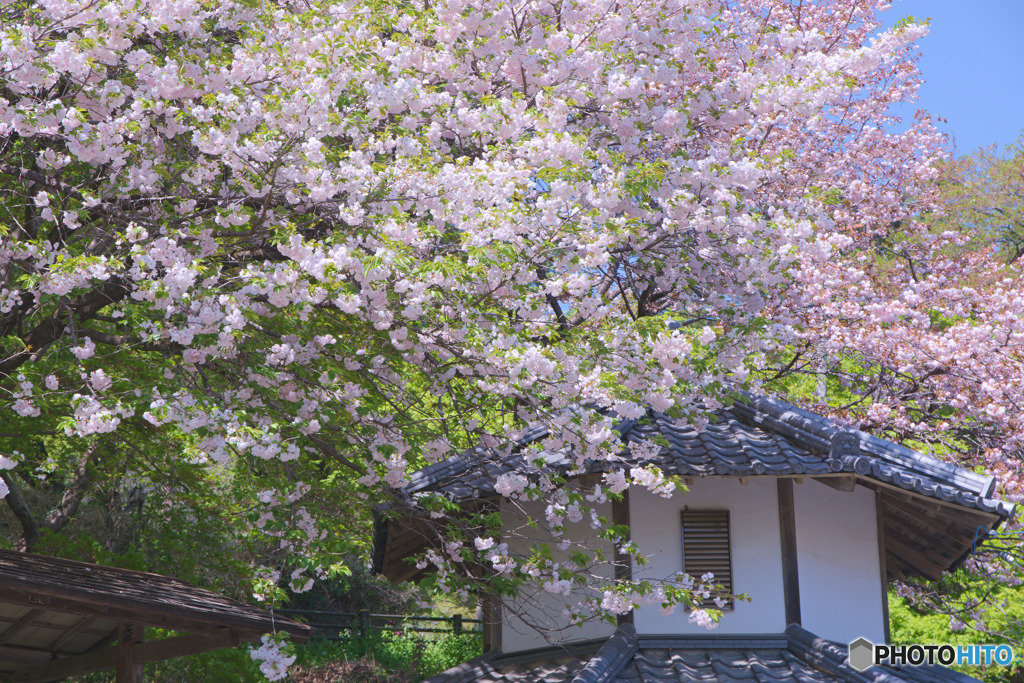 慈光寺