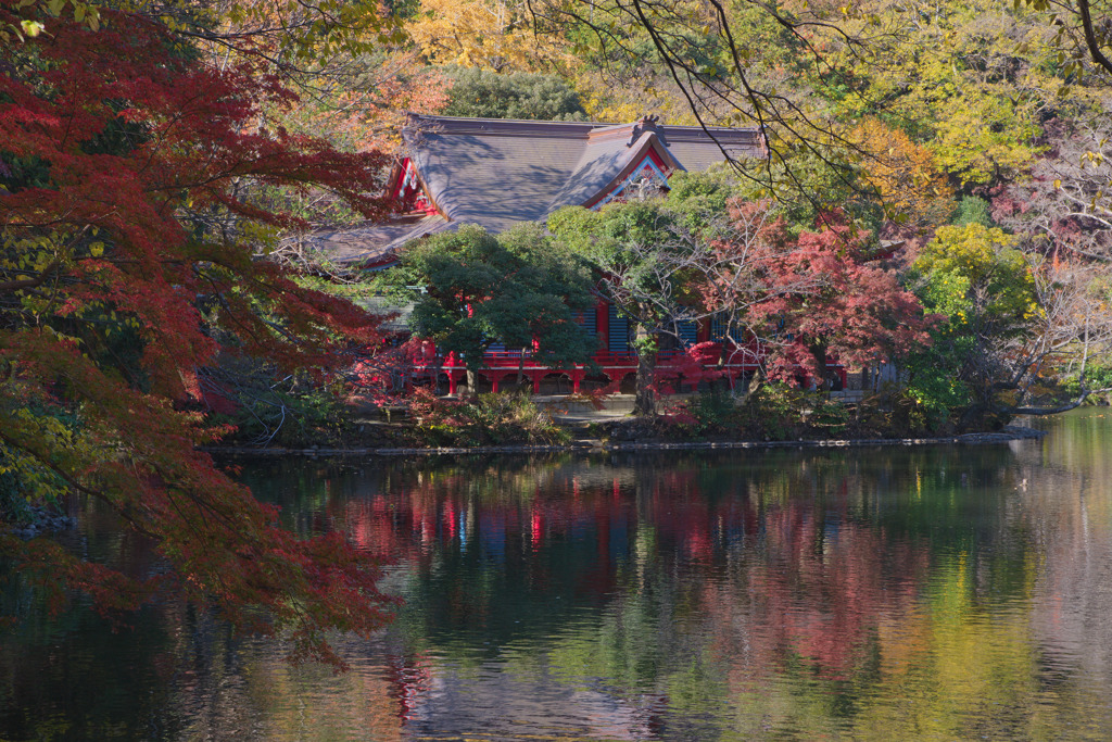 井の頭恩賜公園