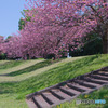 川越運動公園
